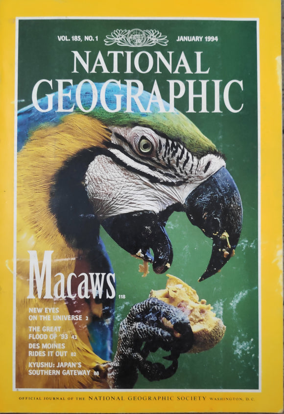 National Geography January 1994 macaws