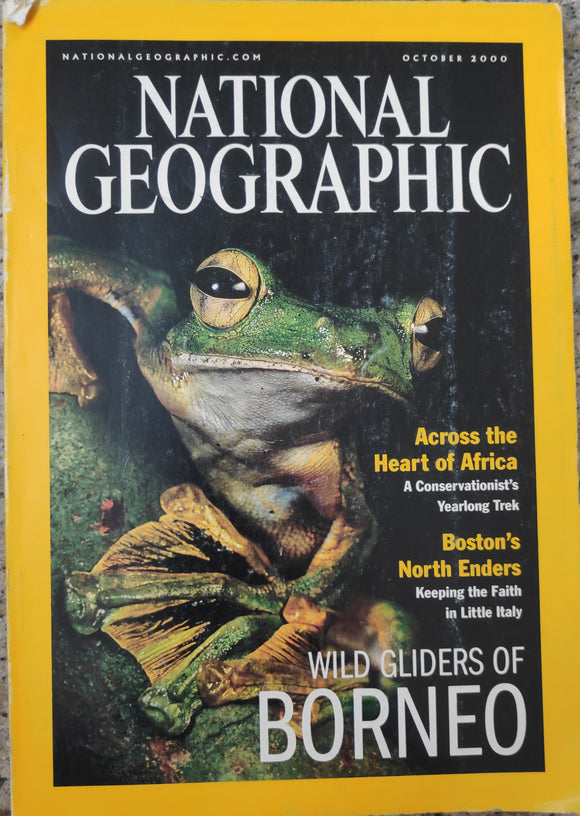 National Geography October 2000 wild gliders of borneo