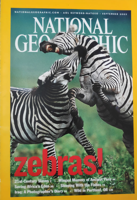 National Geography September 2003 Zebras!