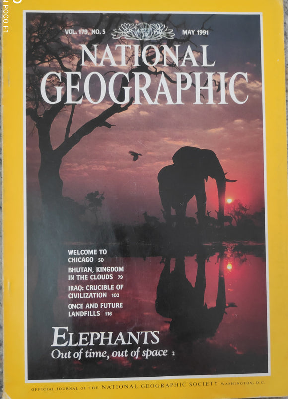 National Geographic may 1991 elephant out of time out of space