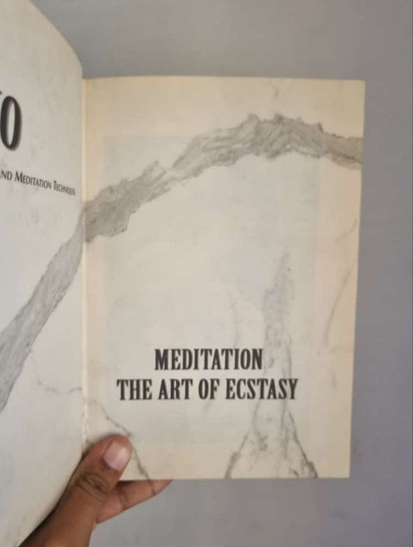 Meditation The art of ecstasy