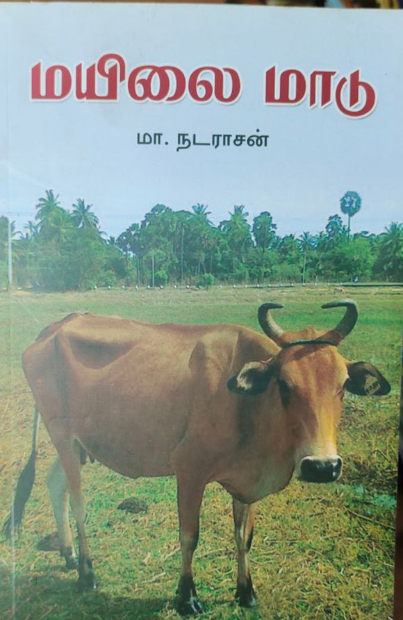 மயிலை மாடு - Mayilai maadu