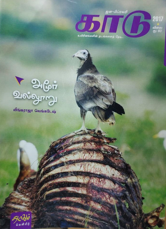 அமூர் வல்லூறு