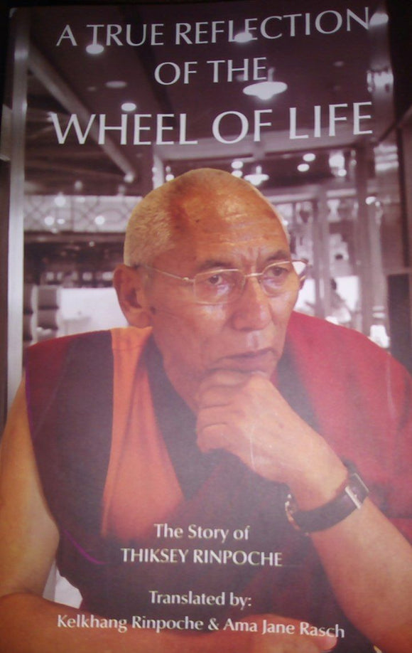 A true reflection of the wheel of Life - The Story of Thiksey Rinpoche