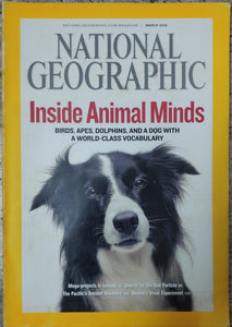 National geographic Inside Animal mind March 2008