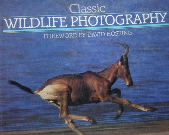 Classic Wildlife photography - David Hosking