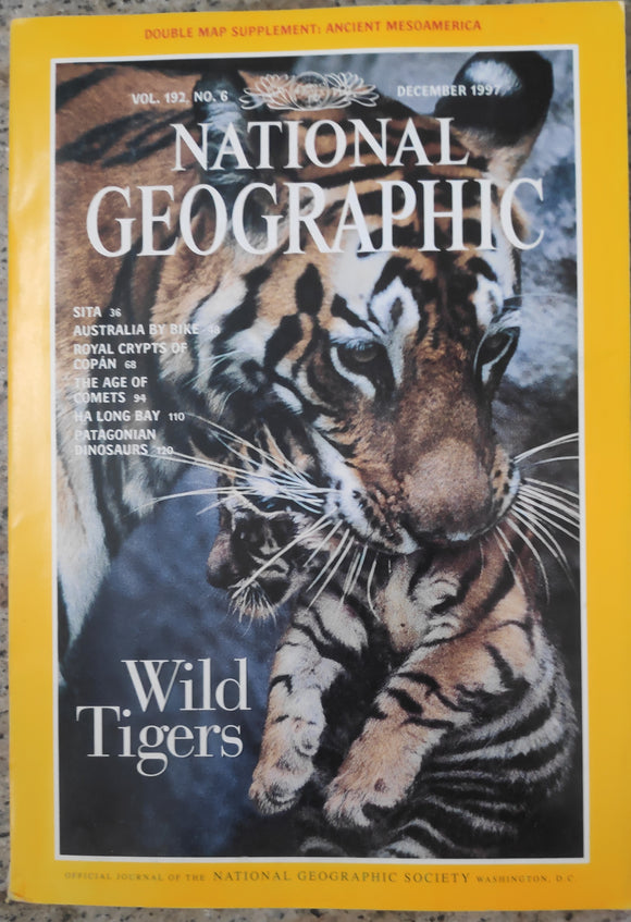 National geographic December 1997 wild tigers