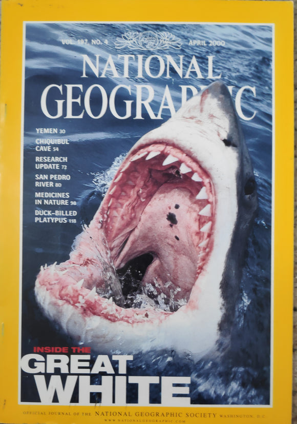 National Geography Apirl 2000 inside the great white