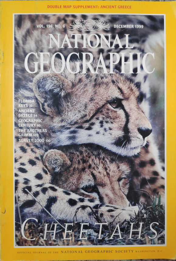 National Geography December 1999 cheetahs