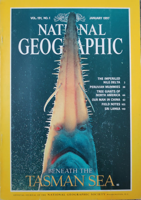 National Geography January 1997 beneath the Tasman sea