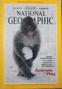 National Geography December 1994 Animals at play