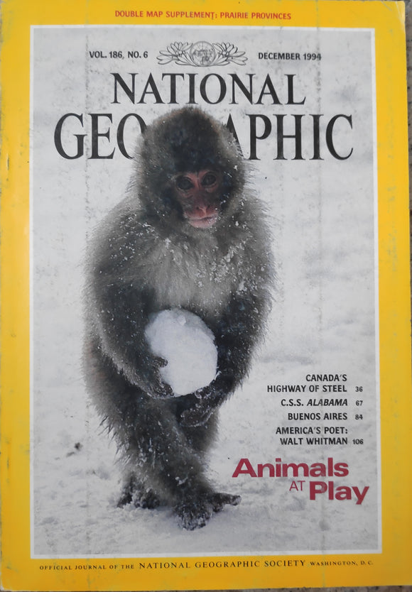 National Geography December 1994 Animals at play