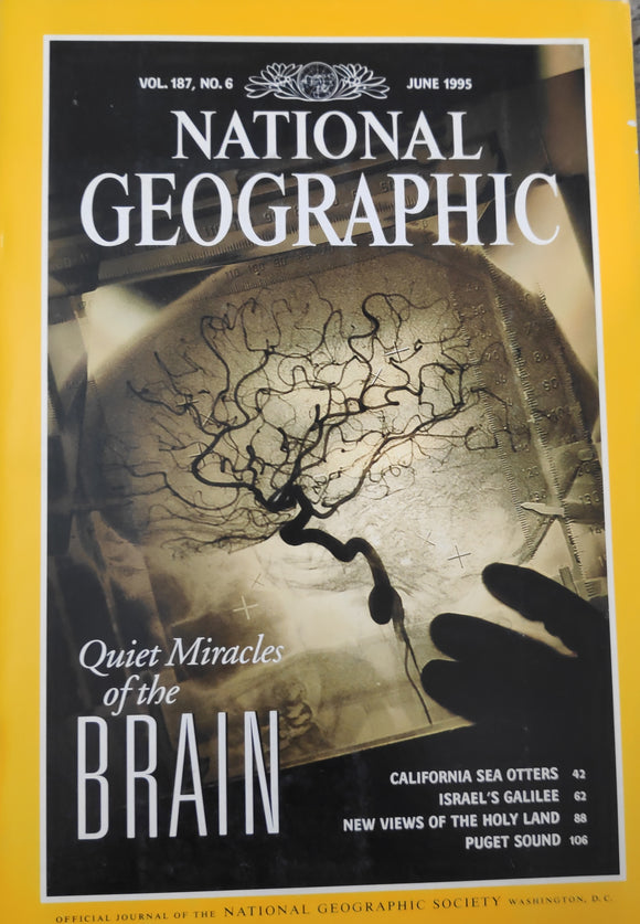 National Geography june 1995 Quiet Miracles of the brain