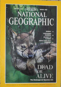 National geography March 1995 Dead or Alive