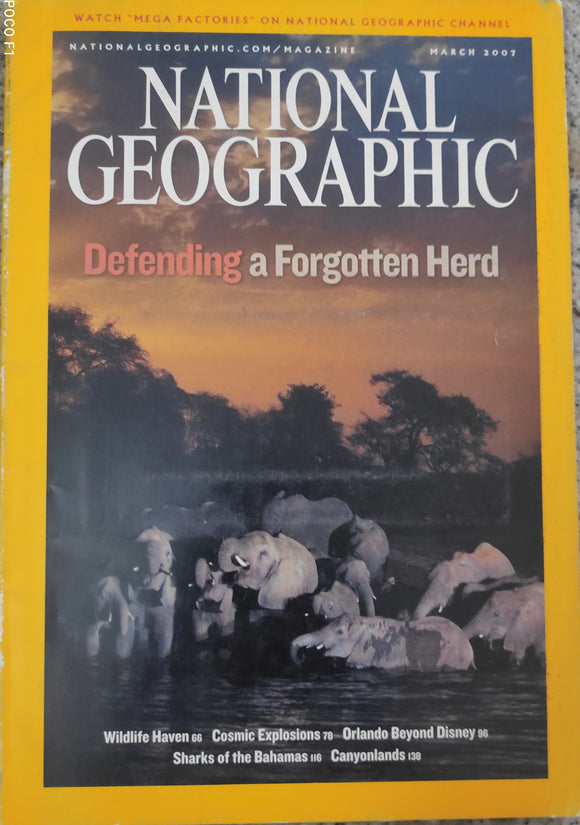 National Geography  March 2007 Defending a forgotten herd