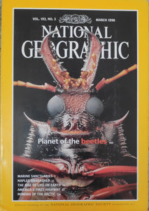 National Geography March 1998 Planet of the beetles